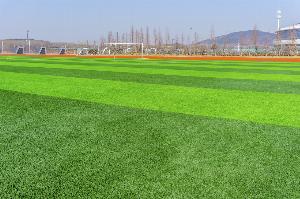 世体：巴萨已派球探观战智利U20世界杯，密切关注一些新星