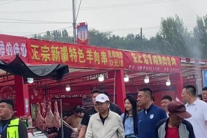哪位领导！？大连英博老总跑去庙会为球队烧香祈福🙏